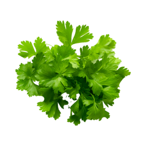 Parsley